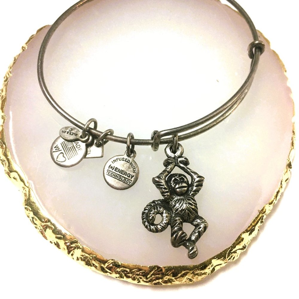 Alex and Ani retired monkey charm bracelet bangle: Playful! Fun!